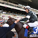 Nick Velazquez Photo 7
