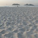 Joel Lopes Photo 12