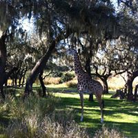 Debbie Bayles Photo 8