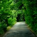 Stephen Bosco Photo 6