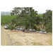Cheryl Elmore Photo 9