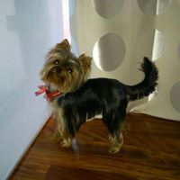 Alba Paredes Photo 25