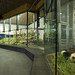 David Schunke Photo 1