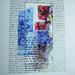 John Leftwich Photo 10