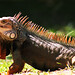 Leonardo Jimenez Photo 16
