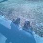 Amber Weddle Photo 15
