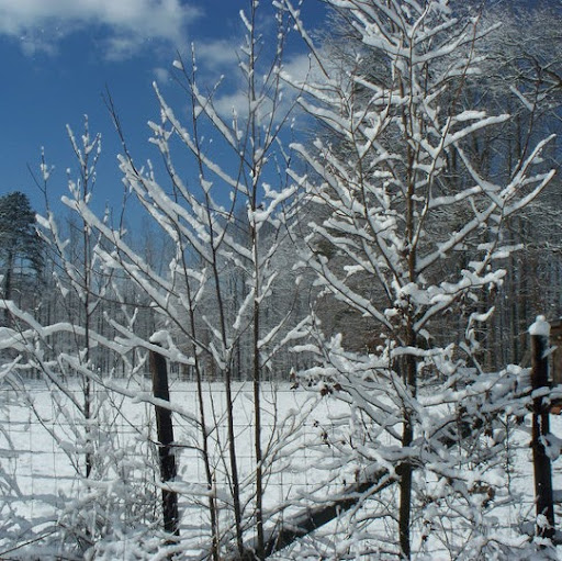Wendy Randall Photo 19