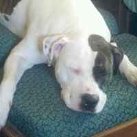 Annette Legge Photo 6