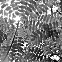Vu Chau Photo 23