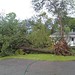 Stephen Minns Photo 12