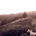 Susan Wolk Photo 13