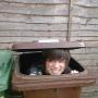 Matthew Stephenson Photo 25