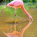 James Fontes Photo 7