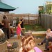 Lisa Shipp Photo 8