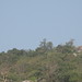 Linh Dinh Photo 9