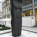Stephen Cox Photo 27
