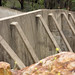 John Shute Photo 15