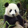 Jim Zhou Photo 12