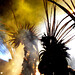 Jorge Dias Photo 16