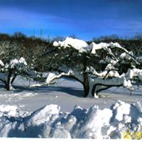 Wanda Tew Photo 11
