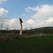 Andrew Crooks Photo 10