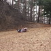 Caitlin Roll Photo 8