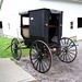 John Buggy Photo 10