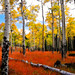 Tracy Meadows Photo 2
