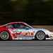 James Neiman Photo 5