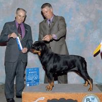 Deborah Fontenot Photo 26