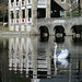 Susan Swan Photo 15