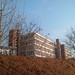 Felix Lyons Photo 7