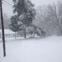 Bobbie Stephens Photo 18