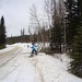 Bob Truman Photo 11