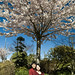 Amy Tong Photo 8