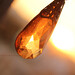 Sheetal Brown Photo 6