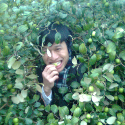 Luan Trinh Photo 26