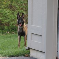 Renee Hensley Photo 22