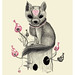 Forest Fox Photo 6