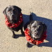 Ruthie Bell Photo 10