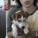 Chuchu Yu Photo 7