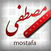 Mostafa Ansari Photo 7