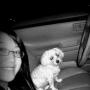 Sharon Chen Photo 49