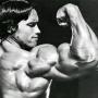 Will Foss Photo 25