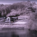 Daniel Dake Photo 7