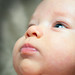Jacob Cheek Photo 7