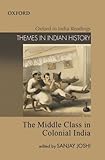 The Middle Class In Colonial India (Themes In Indian History)