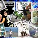 Terry Chen Photo 11