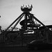 Philip Volk Photo 8