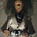 Darren Jeffs Photo 4